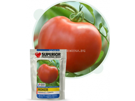 Семена домат РОКЕР / ROKER VF - безколов - 5г