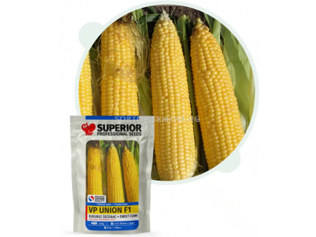 Семена сладка царевица УНИОН F1 / UNION F1