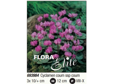 Циклама coum ssp coum - 1 опаковка - 3 броя