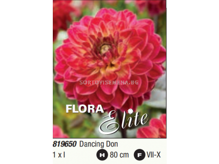 Далия decorative Dancing Don - 1 бр. - 3