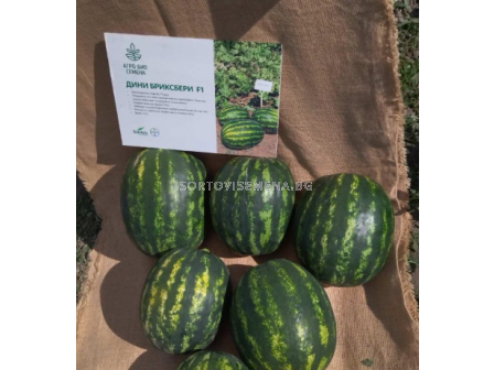 Семена дини Бриксбери F1 - 250 семена