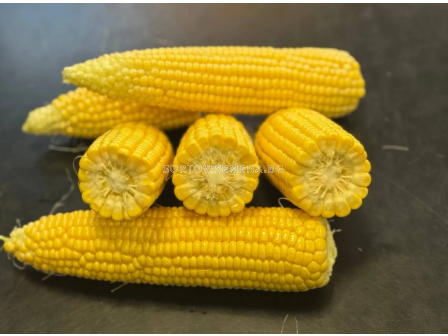 Семена супер сладка царевица Фрагман F1 - 5000 семена