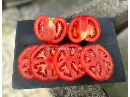 Семена домати SVTH 2913 F1 - 100 семена