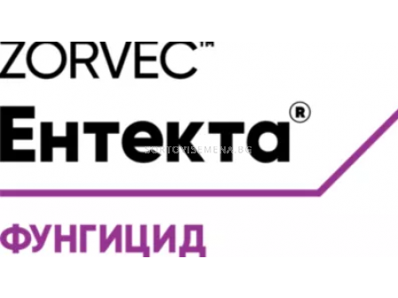 Зорвек Ентекта - 0,25
