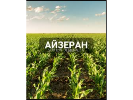 Айзеран - 5л