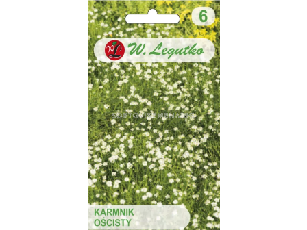 LG Семена Ирландски мъх (Sagina subulata) - 0.03г - 3