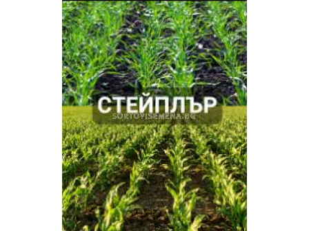 Стейплър - 20л