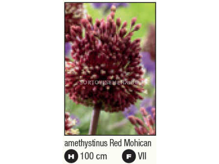 Декоративен лук Red Mohican 1 бр - 2