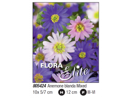 Анемоне бланда микс/ Anemone blanda mixed - 1 пакет от 10 бр. 