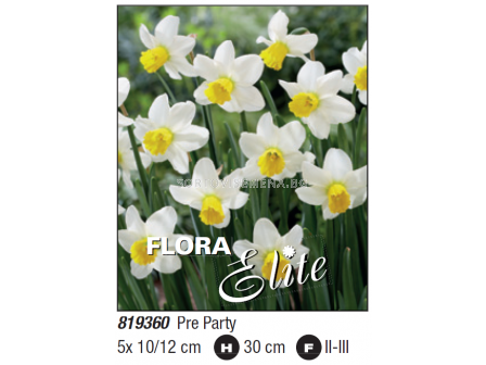 Нарцис/ cyclamineus Pre Party - Пакет с 5 бр.