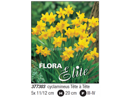 Нарцис cyclamineus Tête à Tête - Пакет с 5 бр.