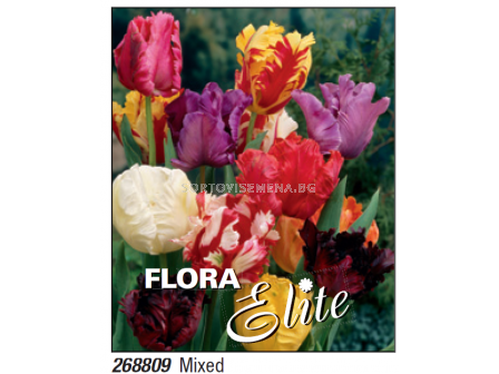 Лале parrot mixed - Пакет с 7 бр.