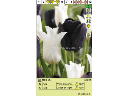 Пакет лалета White Elegance (12 бр.) и Queen of Night (13 бр.) - 25 бр. 