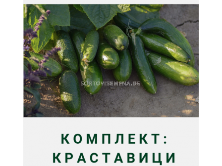 Комплект: Краставици