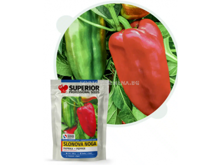 Семена пипер СЛОНОВ КРАК / SLONOVA NOGA