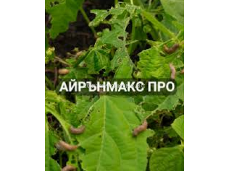 Айрън Макс про - 20кг