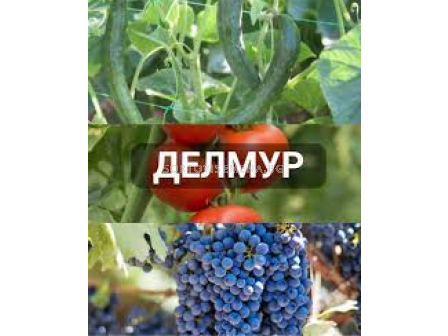 Делмур - 5л