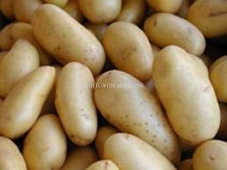 Seme Kartofi Simega 5kg Kartofi Sortovisemena Bg