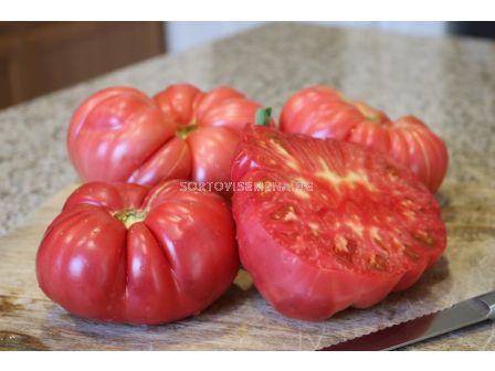 Семена домат Pink Delicious F1 - 100 сем