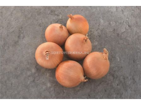 Семена лук Sedona F1 - 250 000 семена 