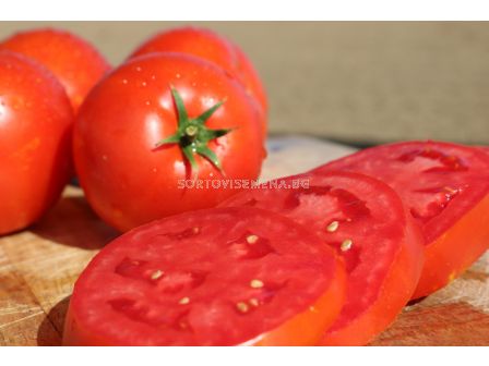 Семена домати Нов Биг Биф Плюс F1/SVTH3438/ - 100 семена