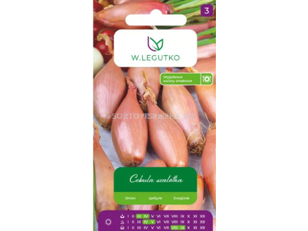 СЕМЕНА Shallot Zebrune -  ЛГ 