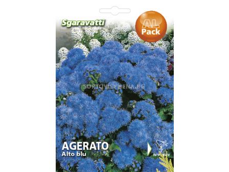 Агератум (Синьо пухче) семена - едроцветно (Агератум)`SG - Ageratum`SG