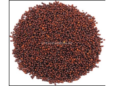 Синапено семе - черно