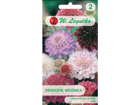 СЕМЕНА СКАБИОЗА МИКС -  ЛГ 