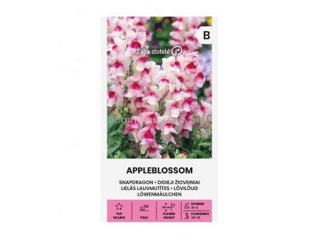 СК СЕМЕНА КУЧЕНЦА SNAPDRAGON, APPLEBLOSSOM