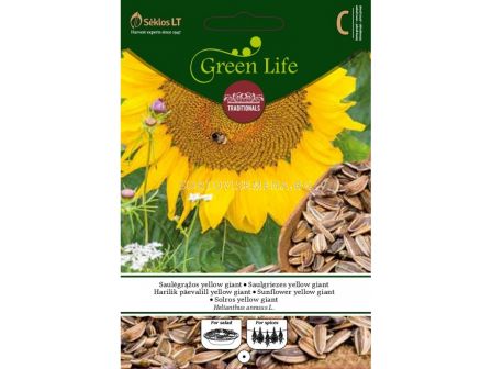 Семена слънчоглед ядлив / SUNFLOWER Yellow Giant / 'SK - 1 оп