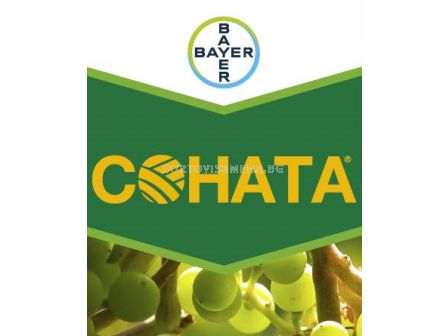 Соната СК - 5 л