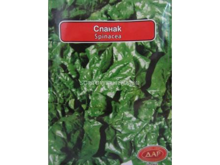 СЕМЕНА СПАНАК МАТАДОР (20Г) - 10 БРОЯ
