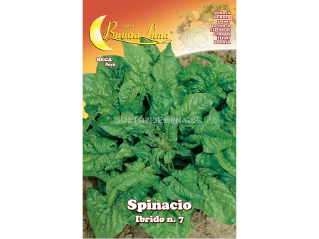 Семена Спанак SPINACIO IBRIDO N.7 MEGA PACK - BL - sortovisemena.bg Семена Спанак SPINACIO IBRIDO N.7 MEGA PACK - BL