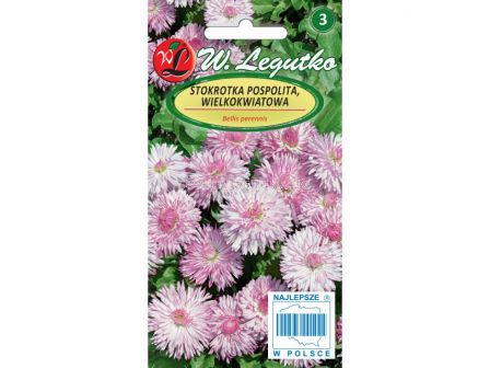 ЛГ МАРГАРИТКИ РОЗОВИ Bellis perennis large fl. Maria pink  