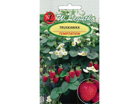Семена Ягоди Temptation (0.03г) - Legutko
