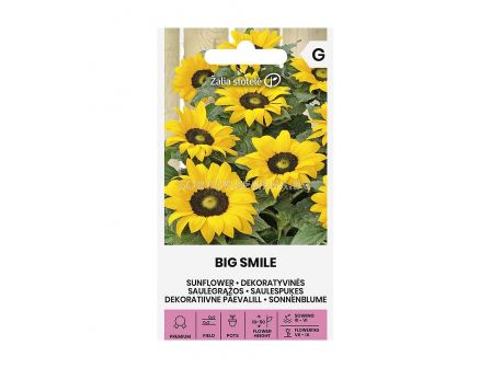 СЕМЕНА СЛЪНЧОГЛЕД БИГ СМАЙЛ SUNFLOWER | BIG SMILE -  СК