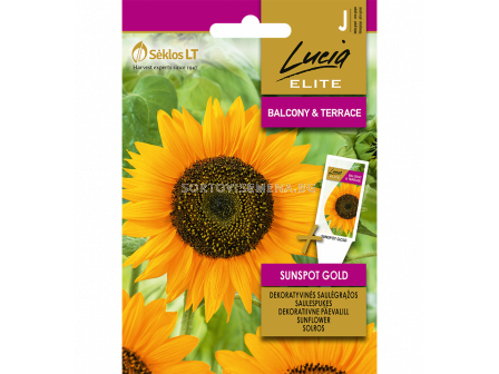 СК СЕМЕНА СЛЪНЧОГЛЕД  СЪНСПОТ ГОЛД SUNFLOWER SUNSPOT GOLD 
