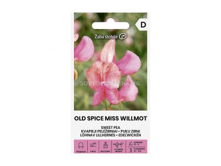 СЕМЕНА ДЕКОРАТИВЕН ГРАХ МИС УИЛМОТ SWEET PEA | OLD SPICE MISS PAKWILLMOT СК 