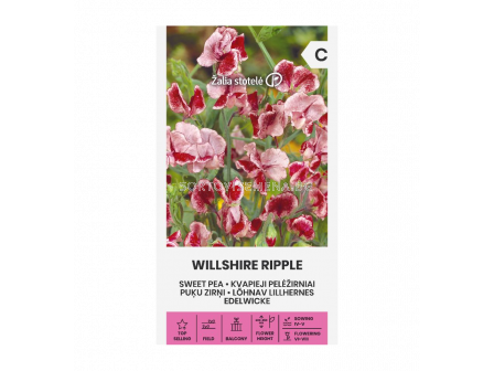 Семена Сладък грах WILLSHIRE RIPPLE - SWEET PEA - 'SK- 2г - 1
