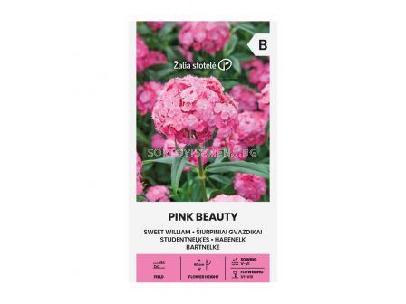 СК СЕМЕНА КАРАМФИЛ SWEET WILLIAM, PINK BEAUTY - 1 г - 2