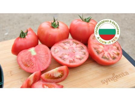 Семена домати МАНЕКРО F1 ( MANECRO F1 ) Syngenta 1 оп-500 сем.