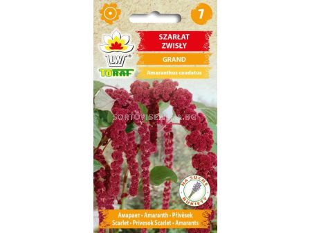 ТОРАФ АМАРАНТ ГРАНД Szarlat zwisly Grand - TF