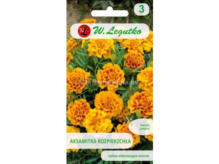 СЕМЕНА ТАГЕТЕС КРАЛИЦА СОФИЯ Tagetes patula nana double fl. GoldieSeries Queen Sophia -  ЛГ 