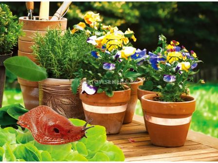 ХЪНТЪР Медна лента против охлюви 2см х 10м Hunter Tasma miedziowana przeciw slimakom 2cm x10m   - 2