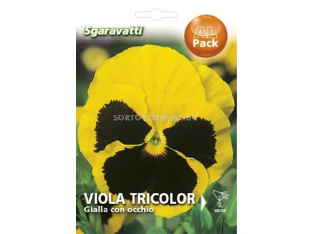Семена Теменуга Жълта с черен център`SG - Viollet Yellow with black`SG