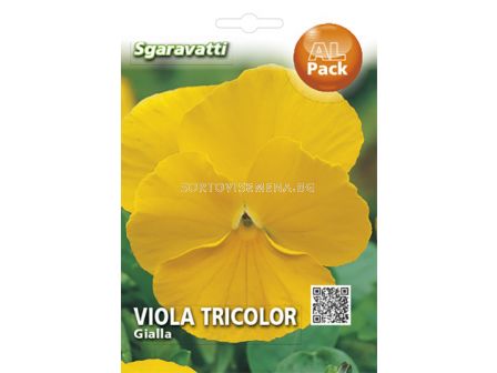 Семена Теменуга жълта`SG - Violet yellow`SG