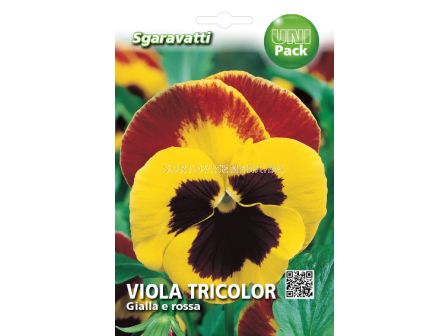 Семена Теменуга Жълта с черно`SG 