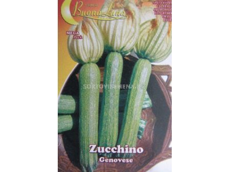 Семена тиквички Дженовезе - zucchini Genovese