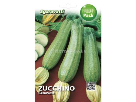 Семена тиквички Дженовезе`SG - zucchini Genovese`SG